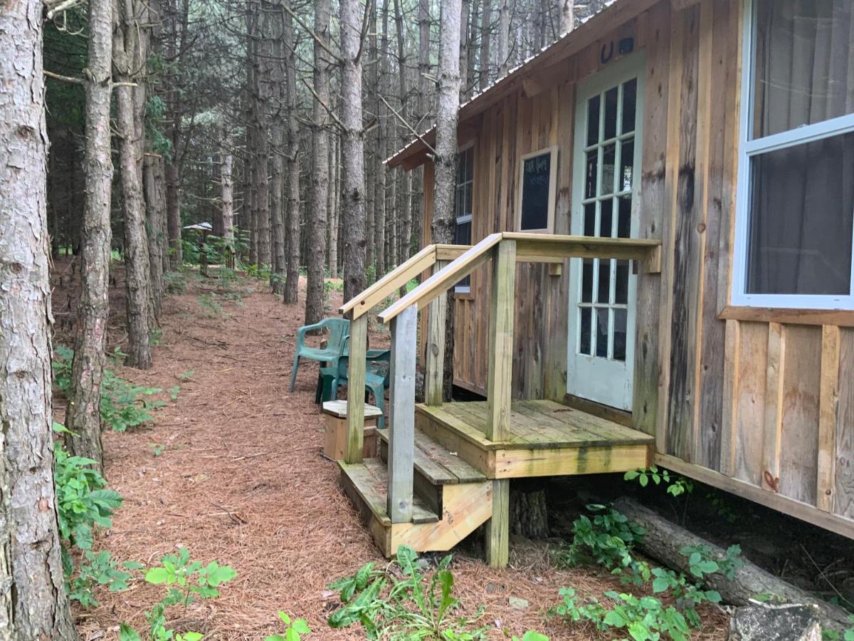 D & K Ranch “Max'S Cabin” Interlaken Luaran gambar